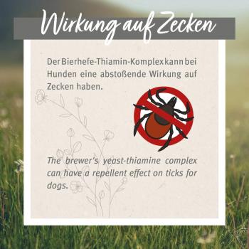 Preview: ZeckenSchild - natürliche Zeckenabwehr für Hunde - 60 Tabletten